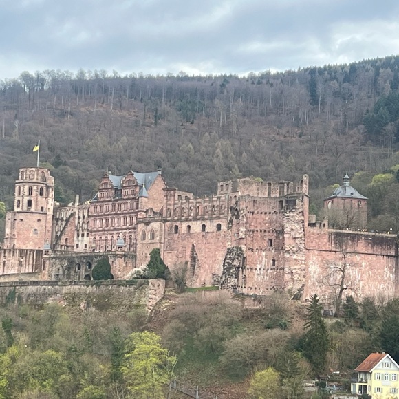 Meet your Posher, Beatrice - Picture 8 of 13